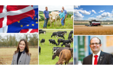 This week's 6 top farming stories 