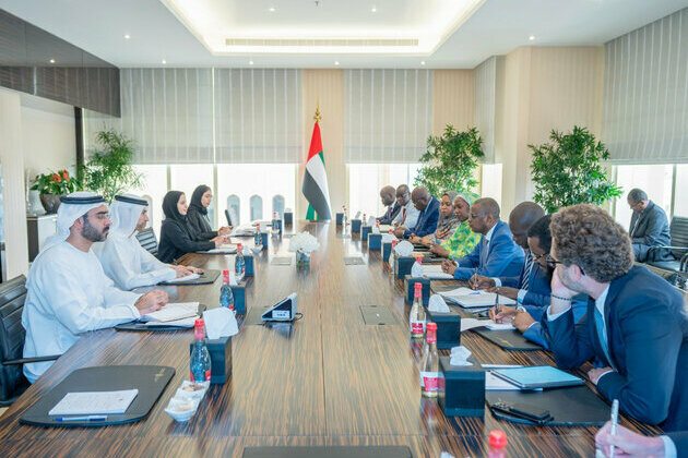 UAE, Chad discuss ways to strengthen cooperation in financial sector