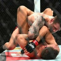 UFC Fight Night: Corner stoppage gives Brendan Allen win over Reinier de Ridder