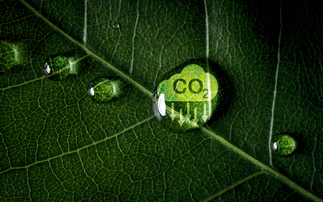 NatWest Cushon to invest in Aviva Investors Carbon Removal Fund
