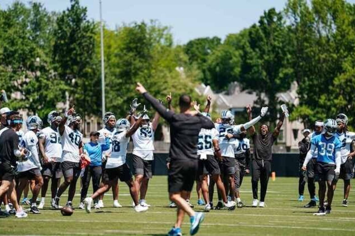Get to know the Panthers UDFAs with one fact about each
