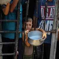 Gaza starvation deaths continue to rise: UN