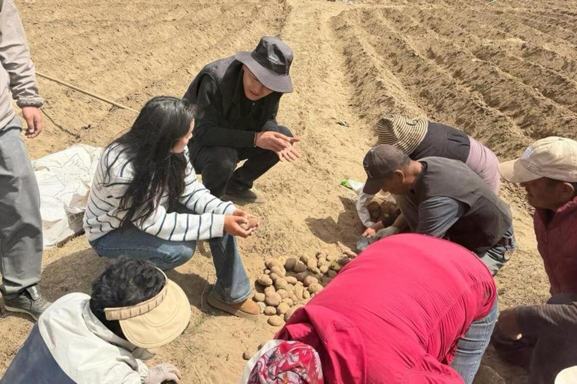 Crop of hope: Young Tibetan entrepreneur finds his future in the fields