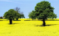 Policymakers urged to consider OSR in future SFI