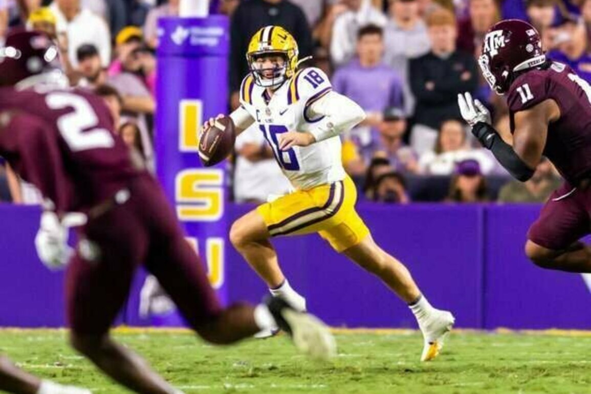 LSU interim AD given green light to hire football coach