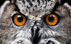 All eyes on venture as corporates and PE swoop in