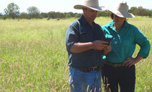 Taking the stress out of grazing