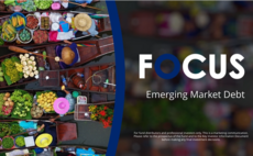 Partner Insight Video: Navigating volatility in emerging markets