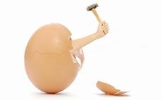 Breaking out of the shell