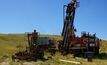 Drilling confirms potential of Wodgina: Atlas