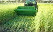 Reduce weeds in wheel tracks