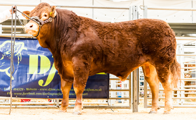 Barrons Apollo, 12,000gns