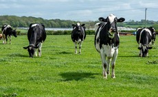 Farmers should face 'livestock tax' says new study