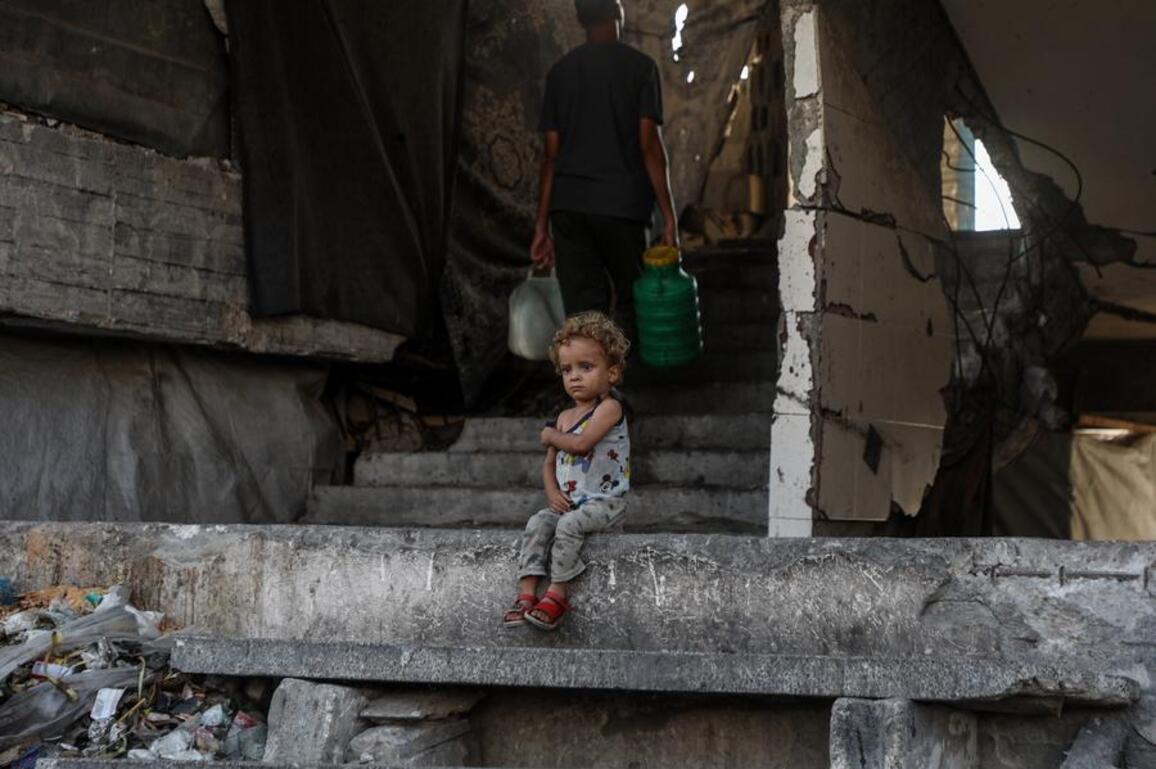 48 killed by Israeli army in Gaza as Palestinian death toll surpasses 63,000: authorities