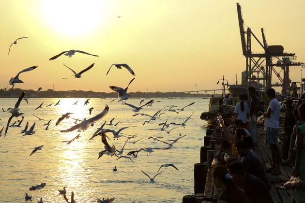 MYANMAR-YANGON-SEAGULLS