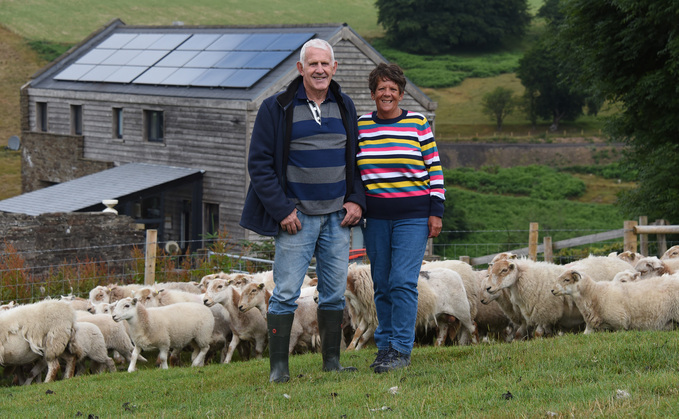 Years of dedication behind South Wales Mountain flock