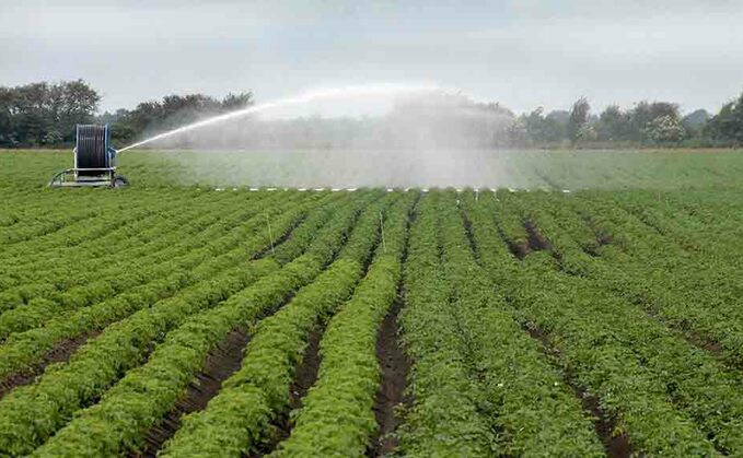 EA revises 2020 irrigation prospects to take account of dry April