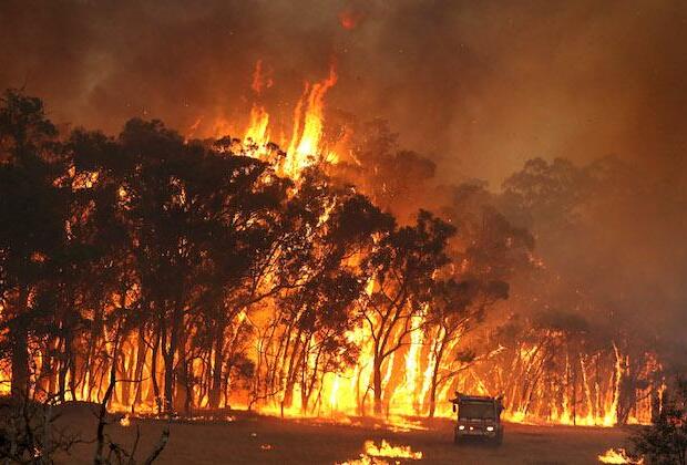 Bushfires in Australia continue to rage, military now involved