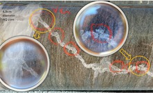 Visible gold logged in drill core from Bronzewing South 