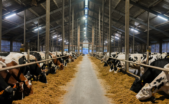 Matching cows to infrastructure: How a German dairy farmer has beaten volatile milk prices