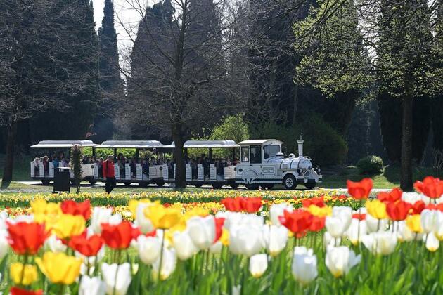 Spring blossoms draw visitors to northern Italy's natural park
