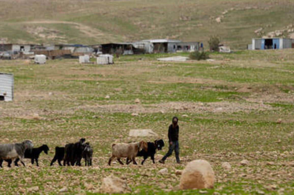 Palestinian 'abducted' and 'restrained' in West Bank (VIDEO)
