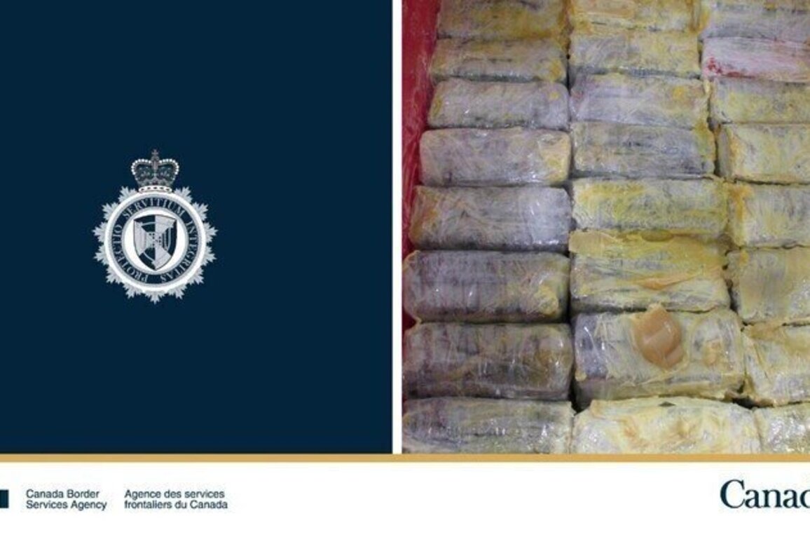 CBSA seizes over 200 kilograms of cocaine off a ship from Panama