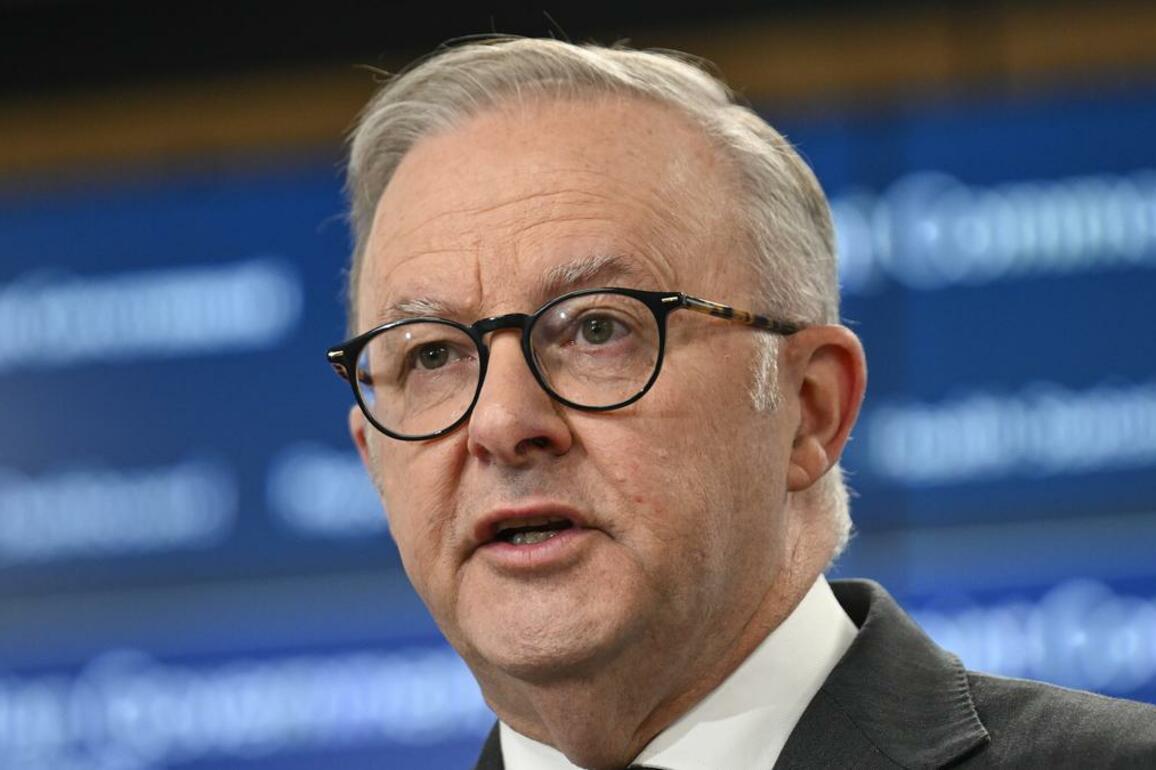 Albanese backs gas as firming capacity amid looming North West Shelf extension decision