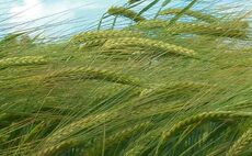 How Scotland's arable farmers are striving for net zero