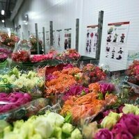 West tried to deprive Russian women of flowers  PM