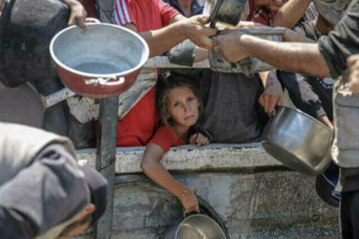 Israel's Gaza aid drops are a smokescreen - UN agency chief