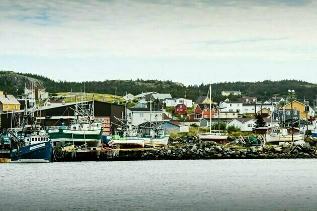 'Making decisions closer to the wharf' can ensure the sustainability of Canada's fisheries and oceans