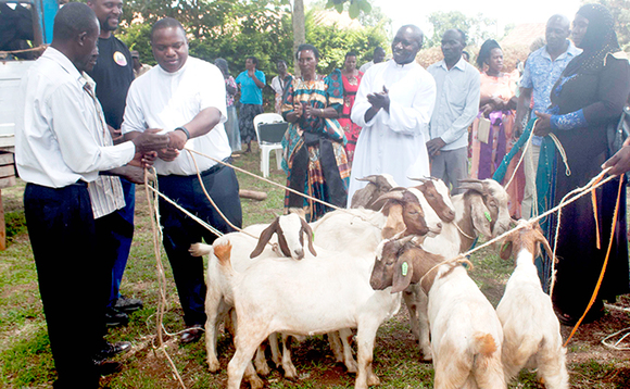 Abamu ku Bakristu abaafunye ente, wano nga Fr. Musumba azibakwasa. Abamu ku Bakristu abaafunye ente, wano nga Fr. Musumba azibakwasa.