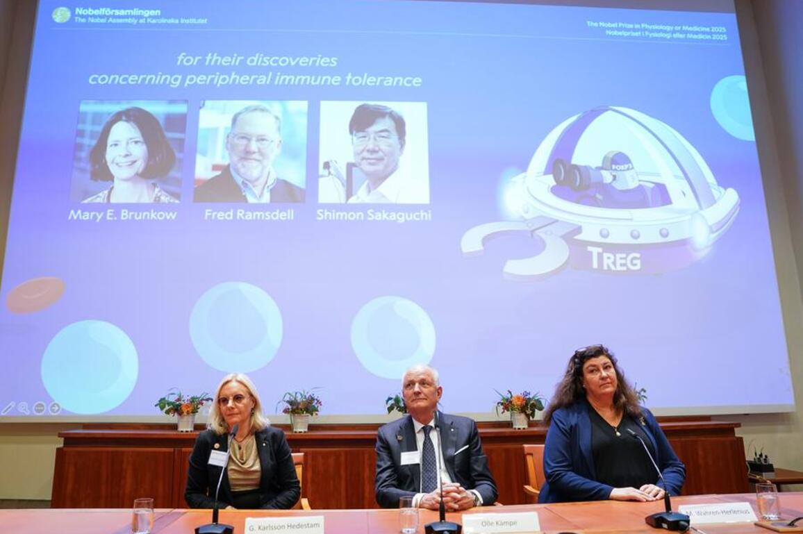 Explainer: Why 2025 Nobel in Medicine awards immune system's "security guards"