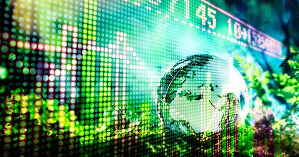 Bloomberg debuts fully customisable sustainable investment screening tool - Vimarsana News