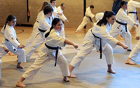 Chandlers continues martial arts sponsorship