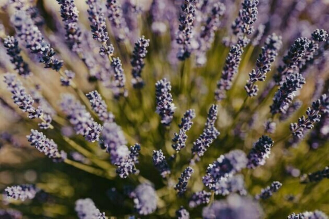 Beyond lavender marriages: What queer unions and relationships can teach us about love and safety