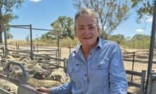 Victorian-based livestock consultant Lisa Warn said the PDS project gave producers confidence and a clear path forward, to switch over to a non-mulesed flock. 