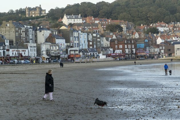 Mysterious illness in hundreds of dogs raises alarm in UK