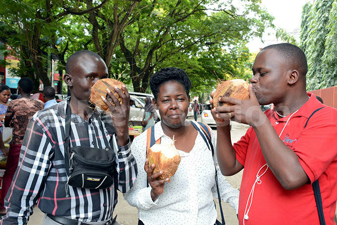  ournalists on a media tour enjoy the palm coconut juice