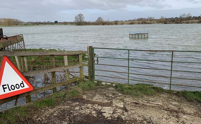 Government must 'show leadership' to address flooding nightmare