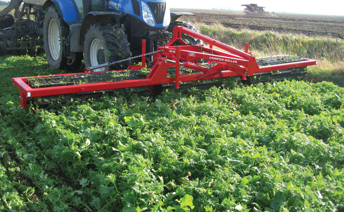 UFU seeds and cereals chair Richard Orr is warning farmers to do their sums before signing up to DAERA cover crop scheme