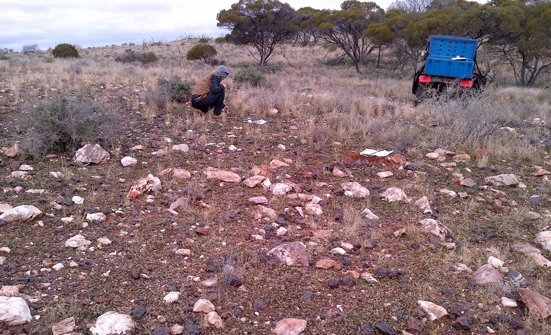 Sampling at Leinster South