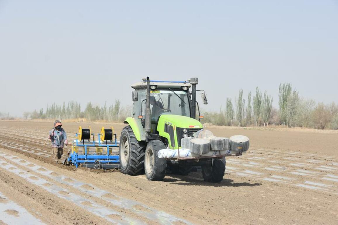 Xinjiang kicks off cotton planting season with undeterred momentum