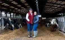 A mixed farming system is the key to one dairy farm's success   