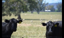  NFF says Australians pay some of the highest prices in the world for groceries. Photo Mark Saunders.