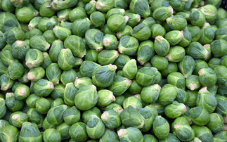 Study: UK families expected to throw away 50 million sprouts this Christmas