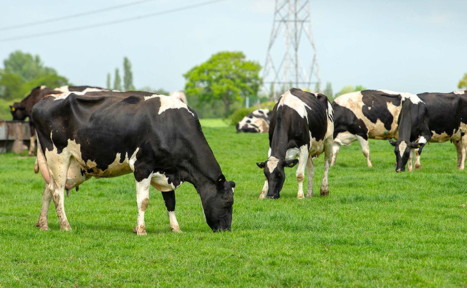 Even pasture fed cows can be deficient in beta carotene