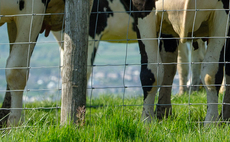 ż invited to take part in field trials for cattle TB vaccine and new skin test