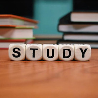 India emerging as global education hub amid stricter foreign admissions, visa challenges